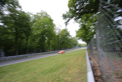 Daniele di Amato, Dinamic Motorsport