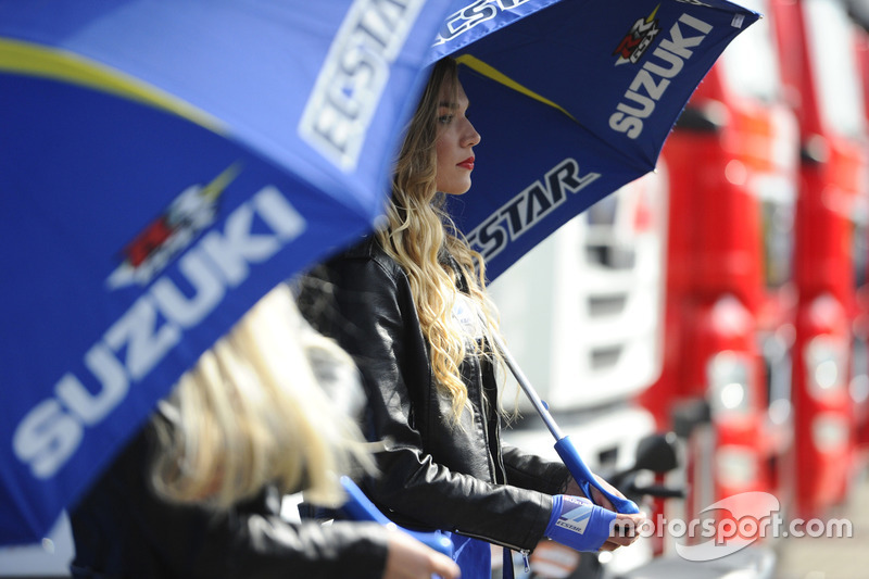 Grid girls Suzuki