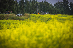 Себастьян Ож'є, Жюльєн інграссія, Ford Fiesta WRC, M-Sport