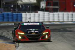 #69 HART Acura NSX GT3, GTD: Chad Gilsinger, Ryan Eversley, Tom Dyer