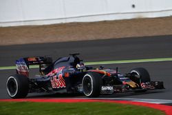 Sette Camara, Scuderia Toro Rosso STR11