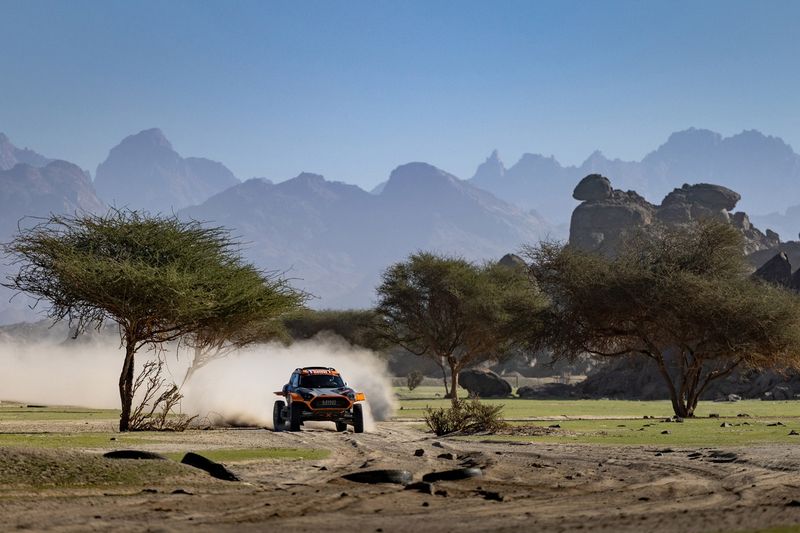 #222 X-Raid Mini JCW Mini: Guillaume De Mevius, Mathieu Baumel