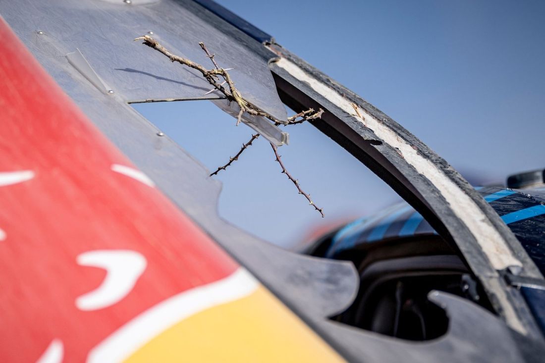 Detalle del coche nº 225 Ford M-Sport Ford: Carlos Sainz, Lucas Cruz