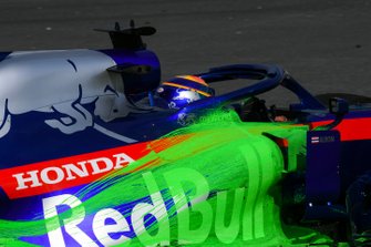 Alexander Albon, Scuderia Toro Rosso STR14