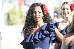 Des gridgirls