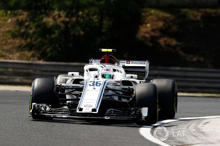 Antonio Giovinazzi, Sauber C37