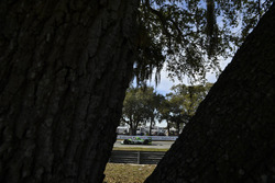 #26 BAR1 Motorsports ORECA FLM09: Marc Drumwright, Chapman Ducote, Gustavo Yacaman, Colin Thompson