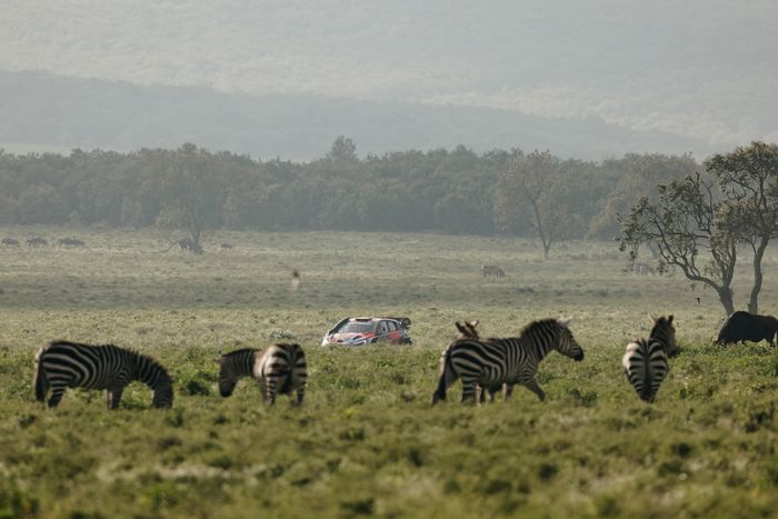 Тьерри Невиль, Мартейн Видаге, Hyundai World Rally Team Hyundai i20 N Rally1
