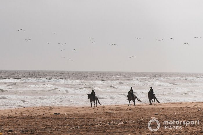 Caballos en la playa