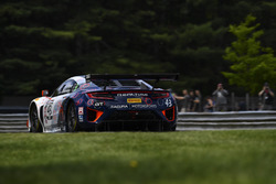 #43 RealTime Racing Acura NSX GT3: Ryan Eversley, Tom Dyer