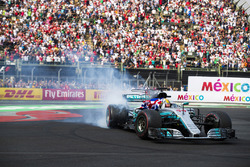 2017 World Champion Lewis Hamilton, Mercedes AMG F1