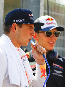 Max Verstappen, Red Bull Racing, Pierre Gasly, Red Bull Racing