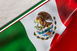 Detalle de la bandera de México