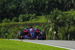 Pierre Gasly, Scuderia Toro Rosso STR12