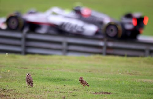 Oliver Bearman, Haas F1 Team