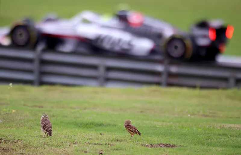 Oliver Bearman, Haas F1 Team