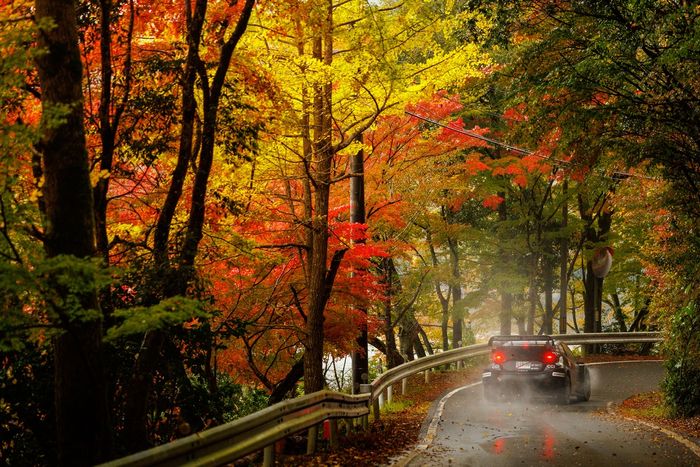 Sébastien Ogier, Vincent Landais, Toyota Gazoo Racing WRT Toyota GR Yaris Rally1