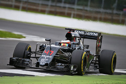 Stoffel Vandoorne, pilote d'essais et de réserve McLaren MP4-31
