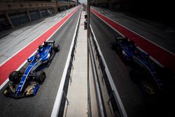 Pascal Wehrlein, Sauber C36