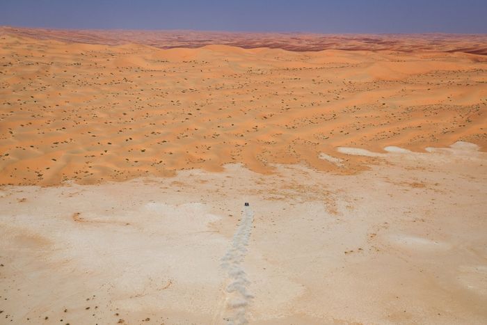 #228 Ford M-Sport Ford: Mitchell Guthrie, Kellon Walch 