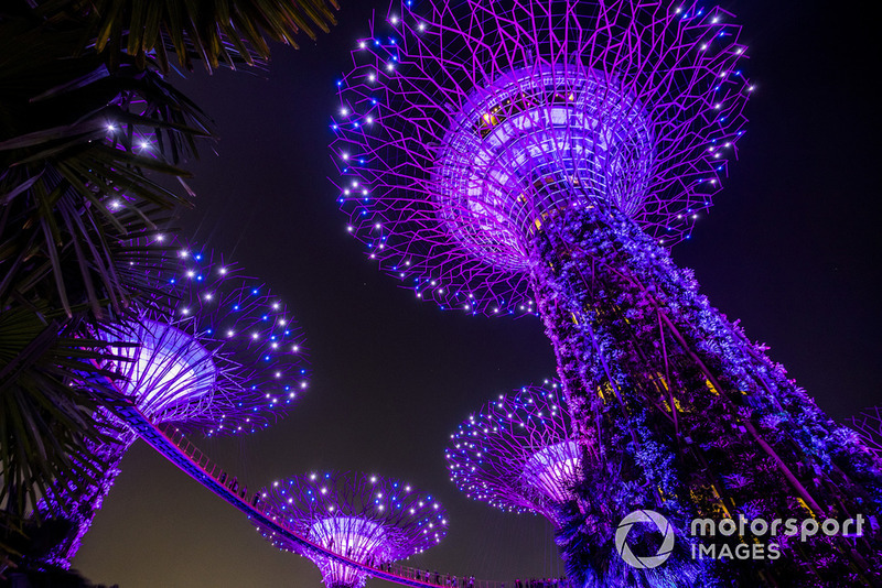 Supertree Grove in Singapur