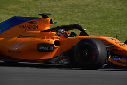 Стоффель Вандорн, McLaren MCL33