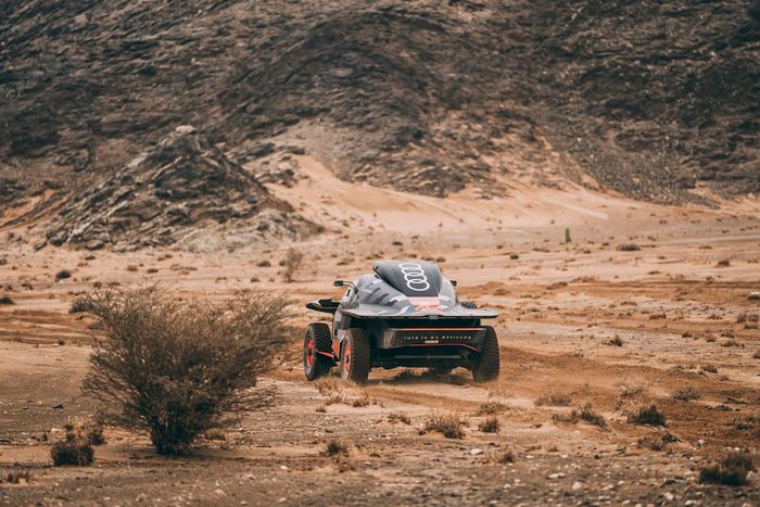 #207 Equipo Audi Sport Audi: Carlos Sainz Sr, Lucas Cruz