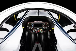 Sauber C37