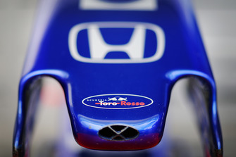 Scuderia Toro Rosso nose