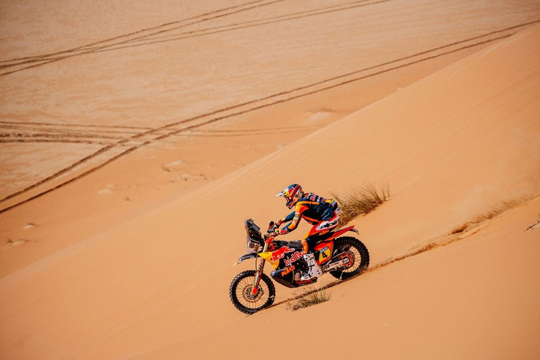 #4 Red Bull KTM Factory Racing KTM: Daniel Sanders