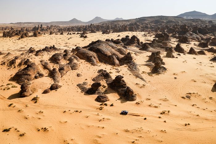 #227 Ford M-Sport Ford: Nani Roma, Alex Haro Bravo