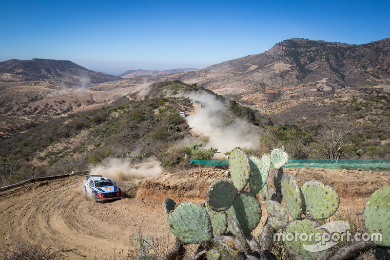 Thierry Neuville, Nicolas Gilsoul, Hyundai Motorsport Hyundai i20 Coupe WRC