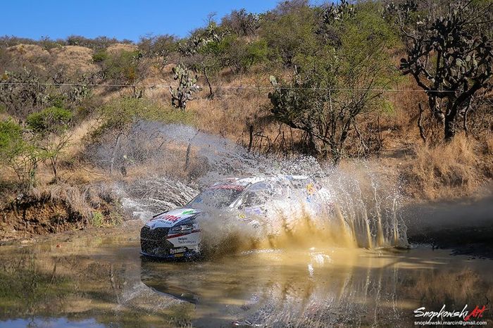 Kajetan Kajetanowicz, Maciej Szczepaniak, Skoda Fabia R5 evo