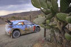 Thierry Neuville, Nicolas Gilsoul, Hyundai Motorsport, Hyundai i20 Coupe WRC