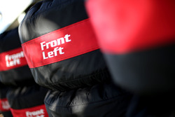Renault Sport F1 Team, neumáticos Pirelli