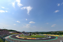 Фернандо Алонсо, McLaren MP4-31