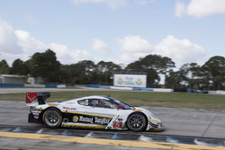 #5 Action Express Racing Corvette DP: Joao Barbosa, Christian Fittipaldi, Filipe Albuquerque