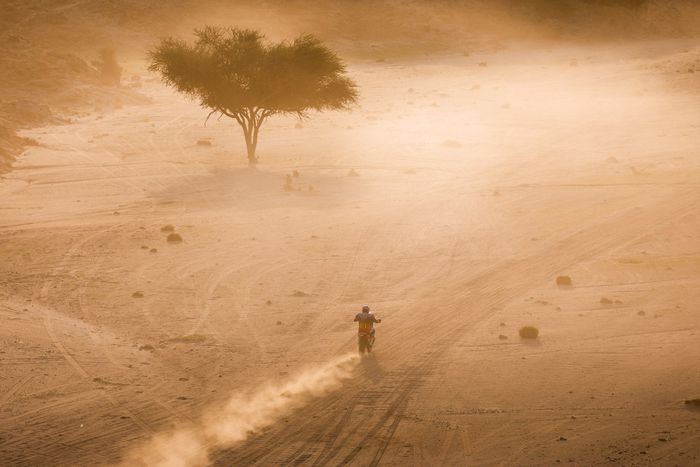 #73 Red Bull KTM Factory Racing KTM: Edgar Canet