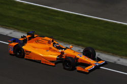 Fernando Alonso, Andretti Autosport, Honda