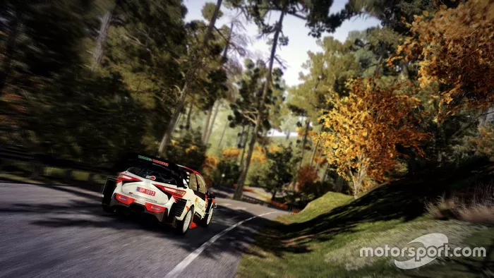 Screenshot WRC 9
