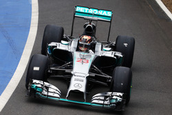 Pascal Wehrlein, Mercedes AMG F1 W05 Hybrid Piloto de pruebas