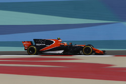 Стоффель Вандорн, McLaren MCL32