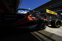 Stoffel Vandoorne, McLaren MCL32