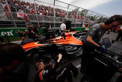 Stoffel Vandoorne, McLaren, receives attention