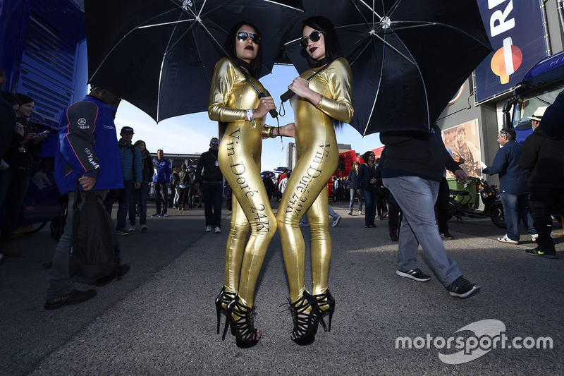 Lovely grid girls