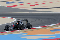 Стоффель Вандорн, McLaren MP4-31