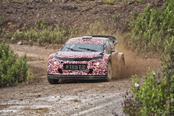 Крис Мик тестирует Citroën C3 WRC 2017
