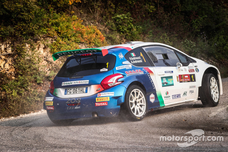 Paolo Andreucci, Anna Andreussi, Peugeot 208 T16, Peugeot Sport Italia