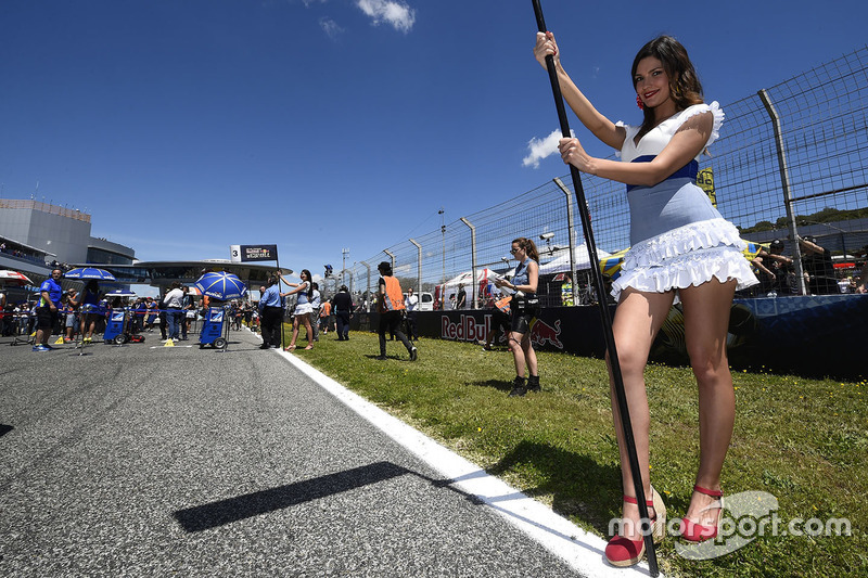 Lovely grid girl