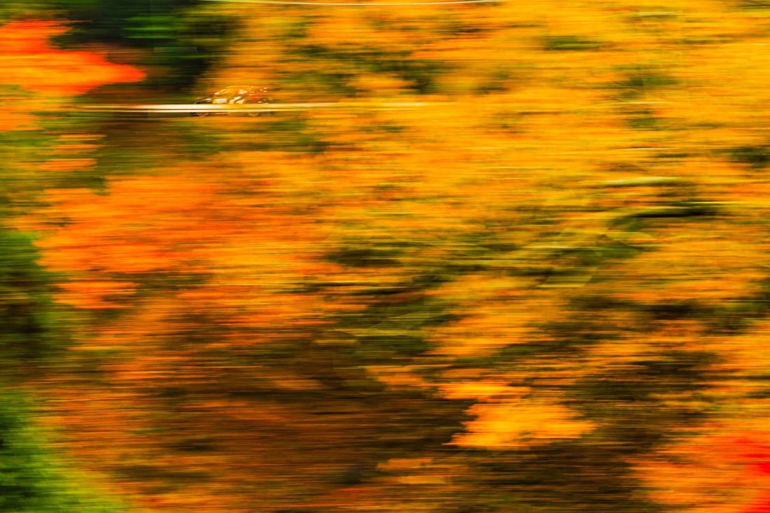 Elfyn Evans, Scott Martin, Toyota Gazoo Racing WRT Toyota GR Yaris Rally1